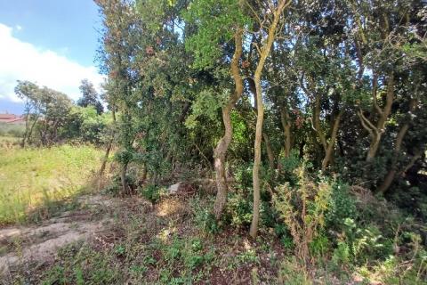 Building plot Barbariga, Vodnjan, 1.236m2