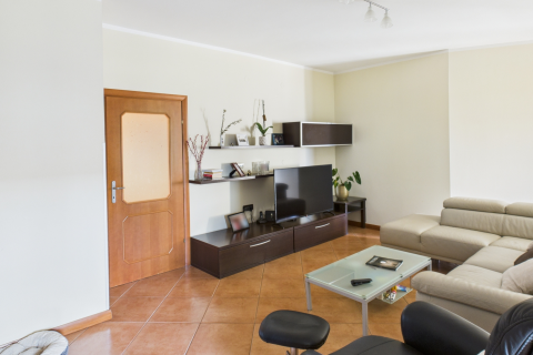 ISTRIA, ŽMINJ – Appartamento con giardino, cucina estiva e cantina