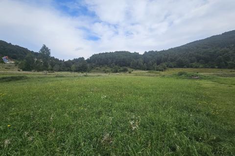 Građevinski teren, Mrkopalj, Gorski kotar - 12 000 m2