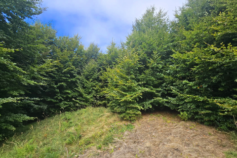 Zlobin, Brdo - negrađevinsko zemljište 7.470 m²