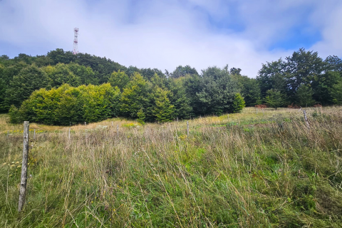 Zlobin, Brdo - negrađevinsko zemljište 7.470 m²