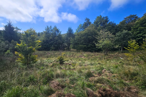 Zlobin, Brdo - negrađevinsko zemljište 7.470 m²