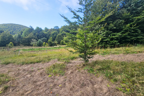 Zlobin, Brdo - negrađevinsko zemljište 7.470 m²