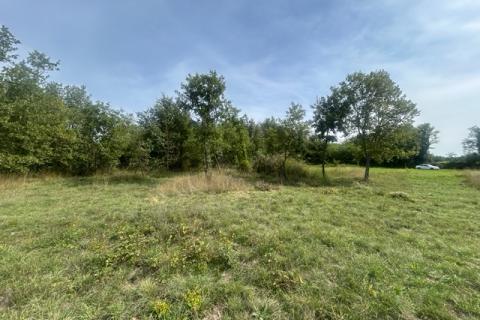 Poreč, okolica, lijepo i održavano poljoprivredno zemljište uz cestu