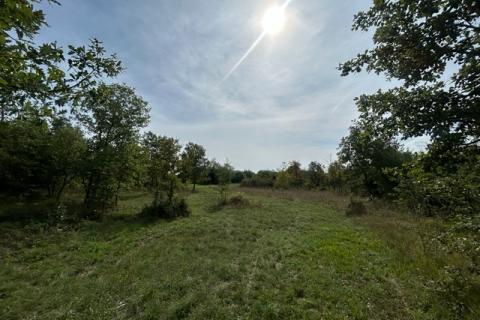 Poreč, okolica, lijepo i održavano poljoprivredno zemljište uz cestu