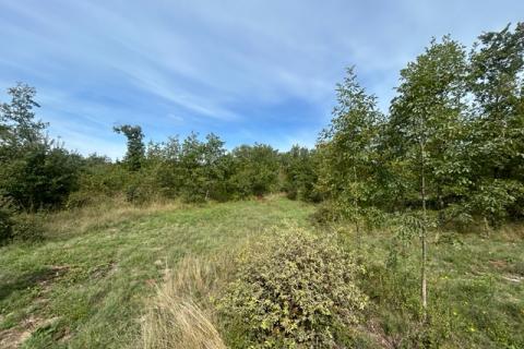 Poreč, okolica, lijepo i održavano poljoprivredno zemljište uz cestu