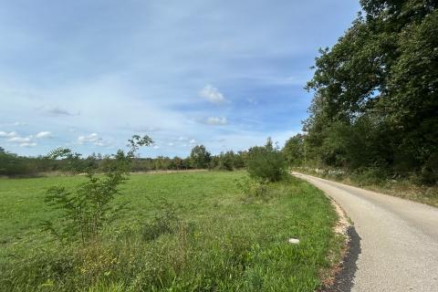 Poreč, okolica, lijepo i održavano poljoprivredno zemljište uz cestu