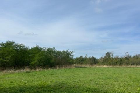 Poreč, okolica, lijepo i održavano poljoprivredno zemljište uz cestu