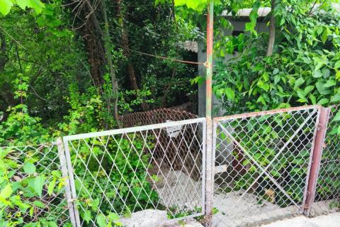 Haus Grižane-Belgrad, Vinodolska Općina, 140m2