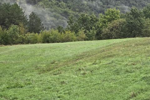 Istra, Cunjci - građeinski teren i ruševna kuća u nizu sa imanjem 