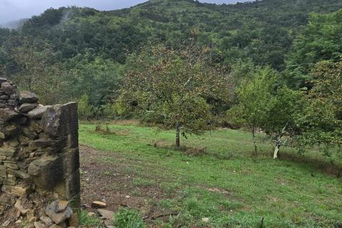 Istra, Cunjci - građeinski teren i ruševna kuća u nizu sa imanjem 