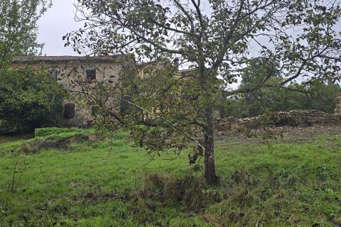 Istra, Cunjci - građeinski teren i ruševna kuća u nizu sa imanjem 