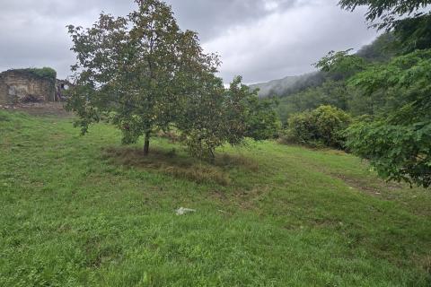 Istra, Cunjci - građeinski teren i ruševna kuća u nizu sa imanjem 