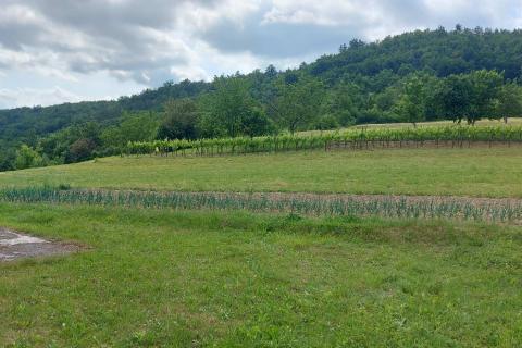 Casa Lupoglav, 462m2