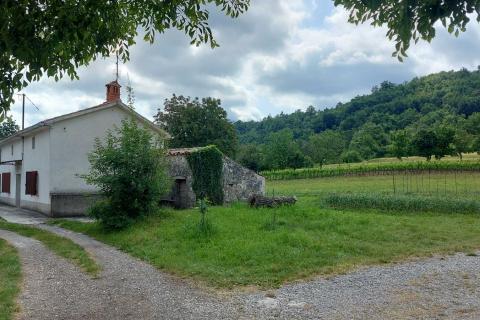 Casa Lupoglav, 462m2