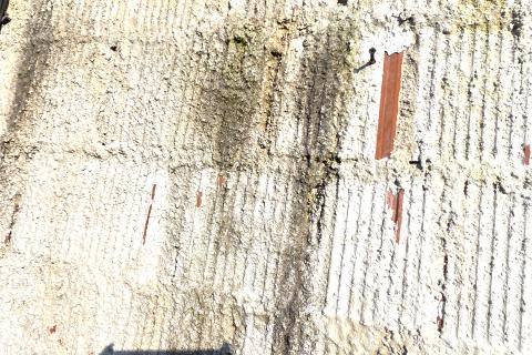 Istra,Lovrečica,okolica-Kuća s velikom okućnicom