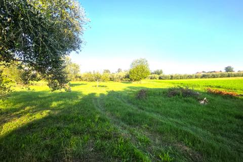 Istra,Lovrečica,okolica-Kuća s velikom okućnicom