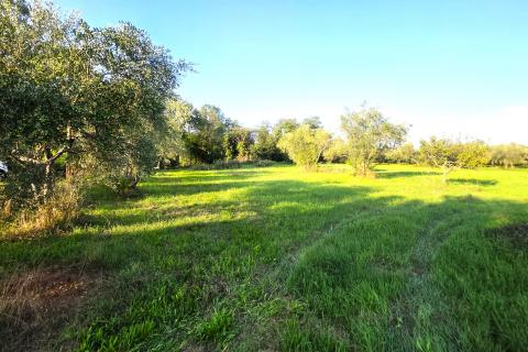 Istra,Lovrečica,okolica-Kuća s velikom okućnicom