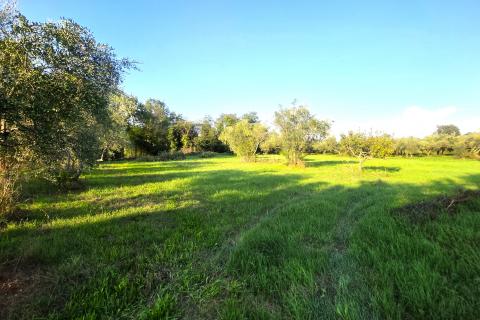 Istra,Lovrečica,okolica-Kuća s velikom okućnicom