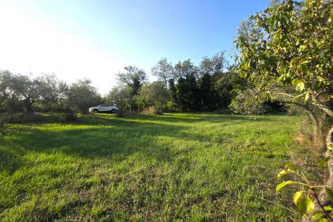 Istra,Lovrečica,okolica-Kuća s velikom okućnicom