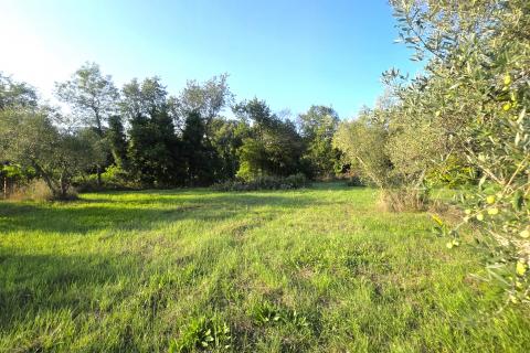 Istra,Lovrečica,okolica-Kuća s velikom okućnicom