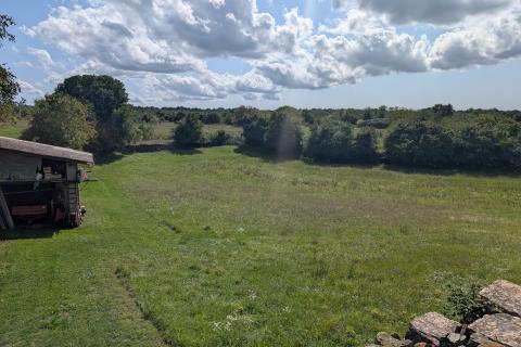 Bauland Žminj, 907m2