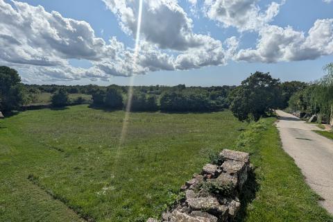 Bauland Žminj, 907m2