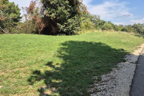 Istra, Fuškulin poljoprivredno zemljište