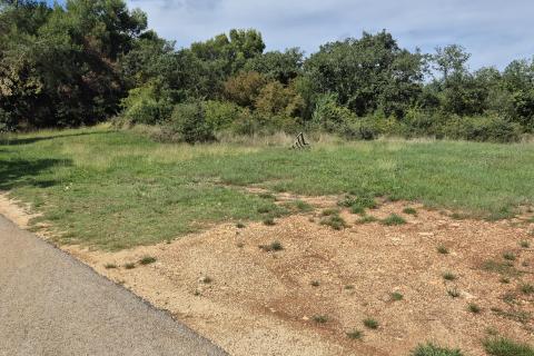 Istra, Fuškulin poljoprivredno zemljište