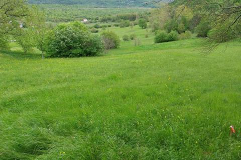 Lupoglav - građevinsko zemljište