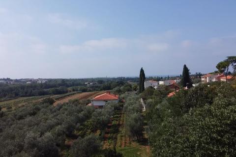 Земельный участок строительного назначения Savudrija, Umag, 1.253m2