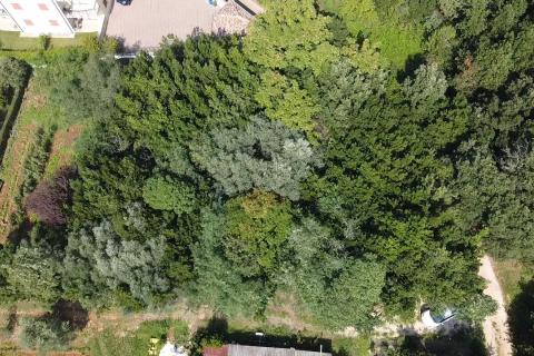 Земельный участок строительного назначения Savudrija, Umag, 1.253m2