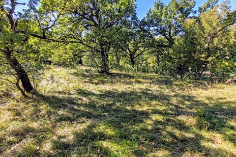 Krasica, Bakar, zemljište površine 7776m2, građevinsko 4200m2 + poljoprivredno 3576m2