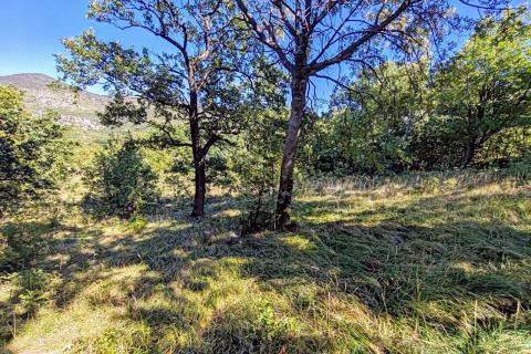 Krasica, Bakar, zemljište površine 7776m2, građevinsko 4200m2 + poljoprivredno 3576m2