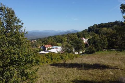 Terreno edificabile Vižinada, 895m2