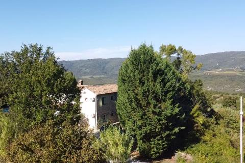 Terreno edificabile Vižinada, 895m2