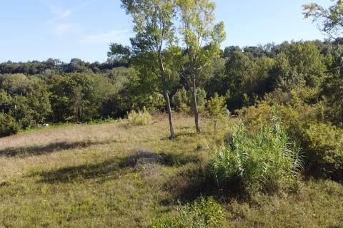 Terreno edificabile Vižinada, 895m2