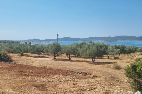 Sveti Filip i Jakov, Građevinsko zemljište, maslinik s pogledom na Pašman