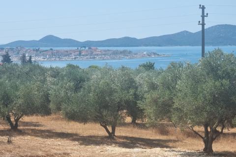 Sveti Filip i Jakov, Građevinsko zemljište, maslinik s pogledom na Pašman