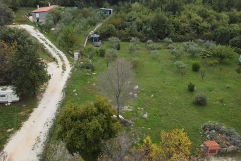 Poreč, okolica, lijepo uređeno i ograđeno poljoprivredno zemljište 