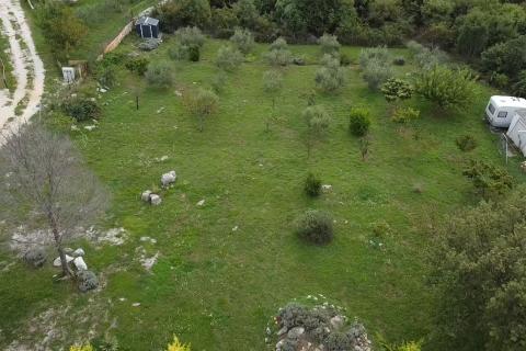 Poreč, okolica, lijepo uređeno i ograđeno poljoprivredno zemljište 