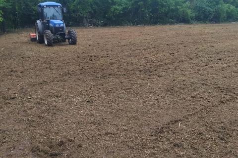 Building plot Rafaeli, Višnjan, 717m2