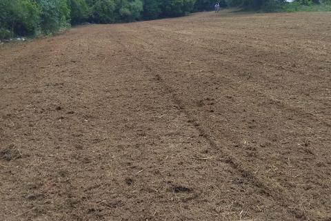 Building plot Rafaeli, Višnjan, 717m2