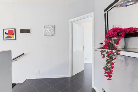 Istra, Rovinjsko Selo - kuća s velikom okućnicom