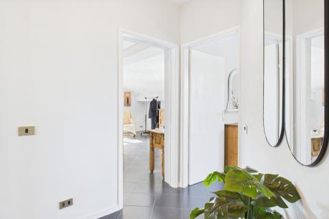 Istra, Rovinjsko Selo - kuća s velikom okućnicom