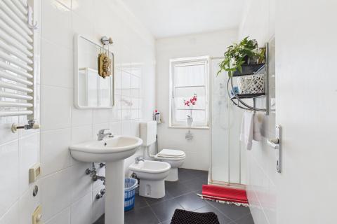 Istra, Rovinjsko Selo - kuća s velikom okućnicom