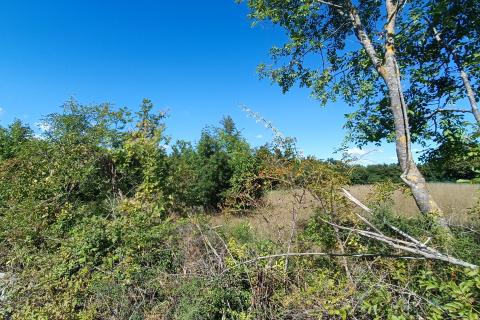 Istra, Žminj okolica - građevinsko zemljište