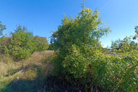 Istra, Žminj okolica - građevinsko zemljište