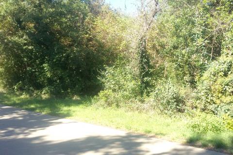 Istra, Umag - negrađevinsko zemljište blizu mora