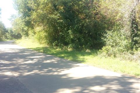 Istra, Umag - negrađevinsko zemljište blizu mora